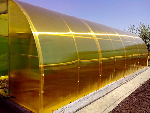 Сотовый поликарбонат Polygal Стандарт 6мм Желтый 2,10x12,00